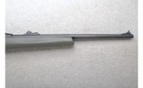 Winchester ~ Wildcat ~ .22 Long Rifle - 4 of 10