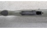 Winchester ~ Wildcat ~ .22 Long Rifle - 5 of 10
