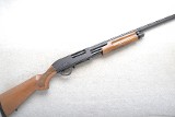 Hatsan ~ Escort ~ 20 Gauge