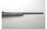 Tikka ~ T3X ~ .243 Winchester - 4 of 10
