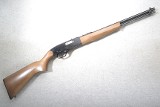 Winchester ~ 190 ~ .22 Long, Long Rifle - 1 of 9