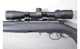 Ruger ~ American ~ .22 Long Rifle - 8 of 10