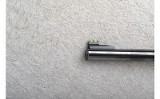 Ruger ~ American ~ .22 Long Rifle - 6 of 10