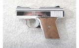 Raven Arms ~ MP-25 ~ .25 ACP - 2 of 2