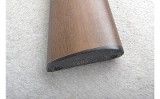 Henry ~ H001 ~ .22 Short, Long, Long Rifle - 10 of 10