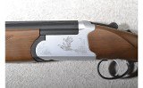 Dogsan ~ Optima ~ 12 Gauge - 9 of 10