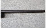Savage ~ Model 93R17 ~ .17 HMR - 5 of 12