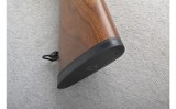 Ruger ~ 77/22 ~ .22 Winchester Magnum - 10 of 10