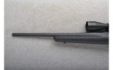 Ruger ~ American ~ .243 Winchester - 7 of 10