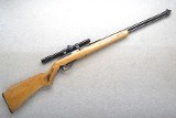 Glenfield ~ Model 60 ~ .22 Long Rifle - 1 of 10