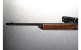 Remington ~ 742 ~ .30-06 Springfield - 7 of 10