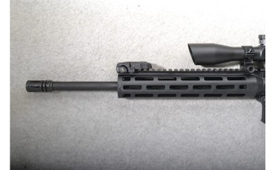 Smith & Wesson ~ M&P 15-22 ~ .22 Long Rifle - Image 7 of 10