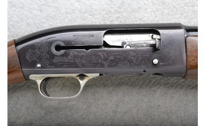Winchester ~ M 59 ~ 12 Gauge - Image 3 of 11