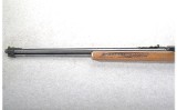 Glenfield ~ 60 ~ .22 Long Rifle - 7 of 10