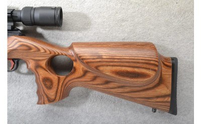 Faxon Firearms ~ FF-22 ~ .22 Long Rifle - Image 9 of 10
