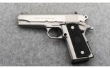 Para Ordnance P-13 Stainless .45 ACP - 2 of 3