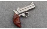 Bond Arms Snake Slayer .45 Colt/.410/9mm - 1 of 4