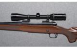 Winchester Model 70 Classic Sporter With Super Grade Stock .25-06 Rem. - 4 of 8