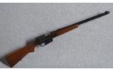Remington 81 Woodmaster .300 Savage - 1 of 9