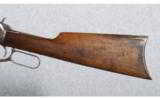 Winchester Model 1894 .25-35 WCF - 7 of 9