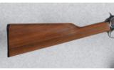 Winchester Model 1906 .22 S,L & LR - 5 of 9