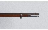 U.S. Springfield Cadet Rifle 1879 Model .45-70 Springfield - 9 of 9