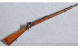 Springfield U.S. Model 1873 Experimental Trapdoor Carbine .45-70 Gov't - 1 of 9
