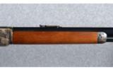 Chaparral Repeating Arms Model 1876 in .40-60 - 8 of 9