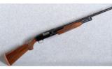 Winchester Model 12 Pre-64 -Restored- in 12 Gauge - 5 of 9