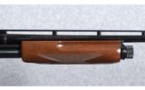 Browning BPS D.U. Gun in .410 Bore - 8 of 9