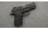 Sig Sauer ~ P229 ~ 40 S&W - 1 of 2
