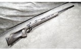 Remington ~ XR 100 ~ .22-250 Rem. - 1 of 11