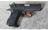 Israel Military Industries (IMI) ~ Baby Desert Eagle Compact ~ .40 S&W - 1 of 2