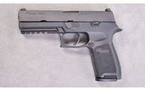 SIG Sauer ~ P320 Nitron Full-Size ~ 9mm x 19 - 2 of 2
