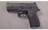 SIG Sauer ~ P320 Nitron Compact ~ 9mm x 19 - 2 of 2