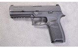 SIG Sauer ~ P320 Nitron Full-Size ~ 9mm x 19 - 2 of 2