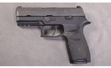 SIG Sauer ~ P320 Nitron Compact ~ .40 S&W - 2 of 2