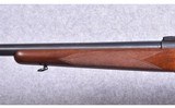 Winchester ~ Pre-64 Model 70 Varmint ~ .243 Winchester - 6 of 10