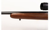 CZ ~ 452-2E ZKM AMERICAN ~ 17 HMR - 6 of 11