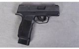 Sig Sauer ~ P365 ~ 9mm - 1 of 2
