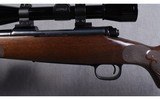 Winchester ~ Model 70 SA ~ .243 WIN - 8 of 10