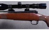 Winchester ~ Model 70 XTR FWT ~ .243 WIN - 8 of 10