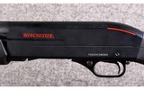 Winchester ~ SXP ~ 12 Gauge - 7 of 9