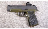 SIG Sauer ~ P365 ~ 9mm Luger - 2 of 2