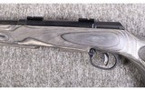 Savage Arms ~ A-22 ~ .22 WMR - 6 of 10