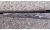 Savage Arms ~ A-17 ~ .17 HMR - 7 of 10