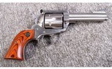 Ruger ~ Black Hawk ~ .45 Colt