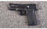Smith & Wesson ~ M&P Compact ~ 22 lr - 2 of 2