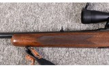 Winchester ~ Model 88 PRE-64 ~ .308 Winchester - 6 of 10