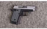 Springfield Armory ~ 911 ~ 380 auto - 1 of 3